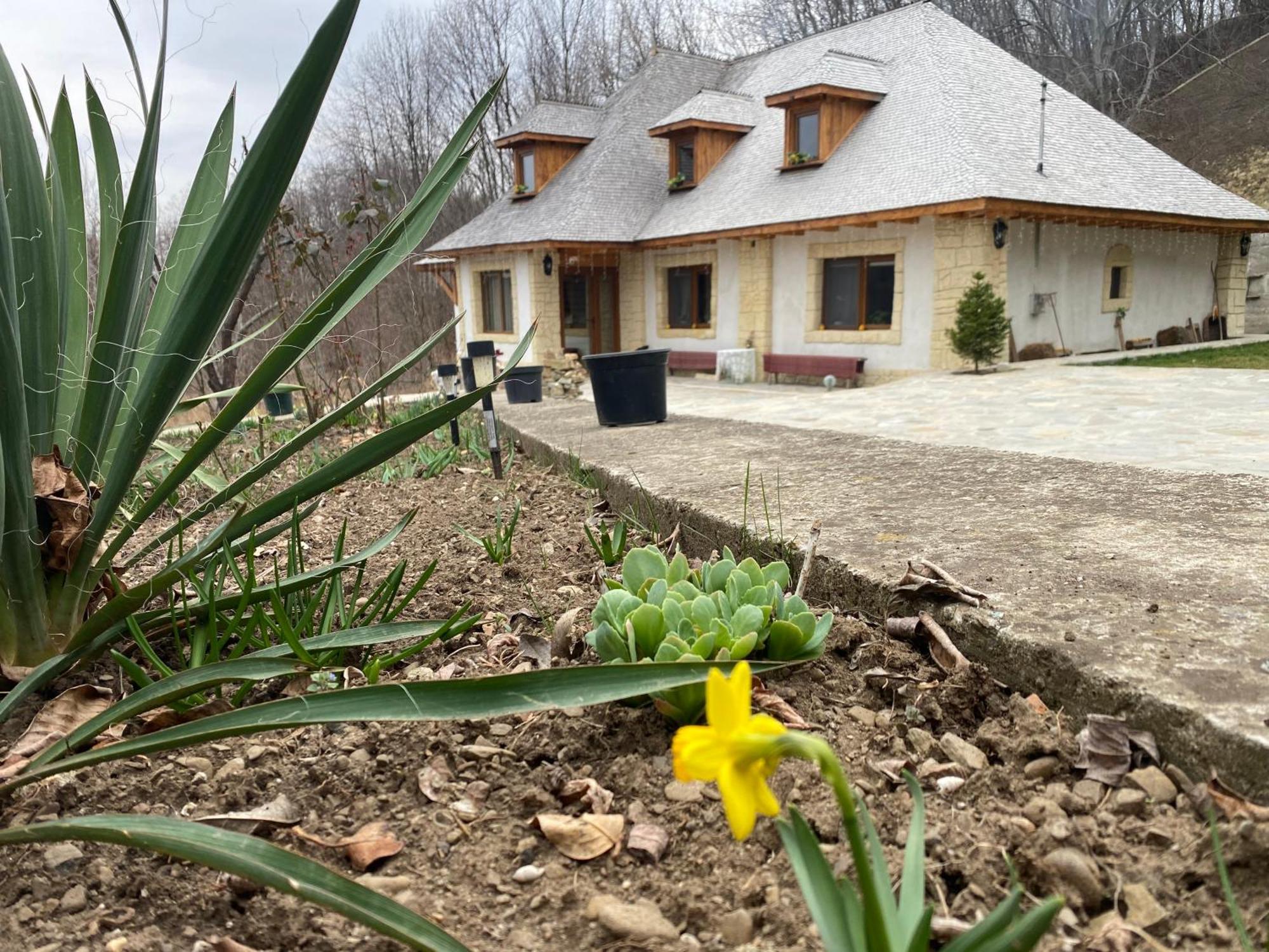 Casa Cu Sindrila Villa Valenii de Munte Exterior photo